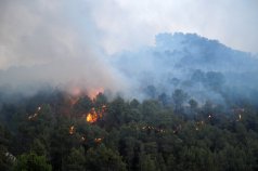 Alcaldes contra las Llamas